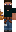 skin of a player