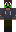 skin of a player