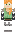 skin of a player
