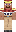 skin of a player