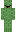 skin of a player