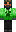 skin of a player