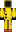 skin of a player