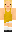 skin of a player