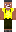 skin of a player