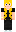 skin of a player