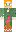 skin of a player