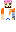 skin of a player