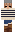 skin of a player