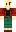 skin of a player
