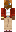 skin of a player