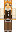 skin of a player