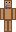 skin of a player