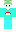 skin of a player