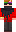 skin of a player