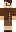 skin of a player