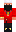 skin of a player