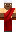 skin of a player