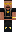 skin of a player