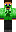 skin of a player