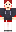 skin of a player