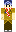 skin of a player
