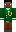 skin of a player