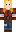 skin of a player