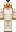 skin of a player