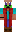 skin of a player