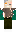 skin of a player