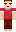 skin of a player