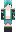 skin of a player