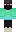skin of a player