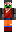 skin of a player