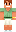 skin of a player