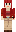 skin of a player