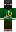 skin of a player
