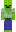 skin of a player