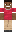 skin of a player