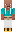 skin of a player