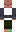 skin of a player