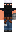skin of a player