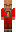skin of a player
