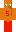 skin of a player