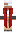 skin of a player