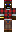 skin of a player