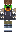 skin of a player