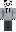 skin of a player
