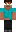 skin of a player